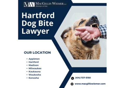 Get legal help for dog bites in Hartford today!