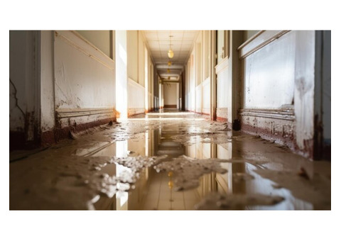 Expert Water Damage Restoration in Hyattsville - Call Now