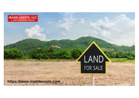 Premium Land for Sale in Florida