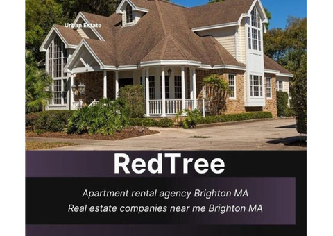 Find Your Ideal House with Apartment Rental Agency Brighton, MA