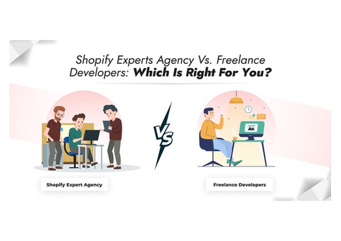 Shopify Experts Agency vs. Freelance Developers