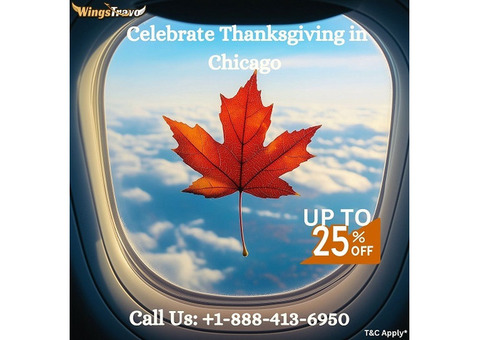 Fly American Airlines to Miami for a Memorable Thanksgiving