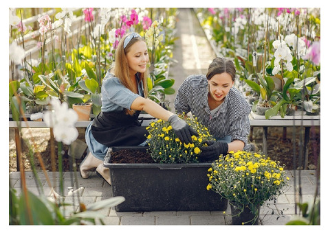 Grow a Thriving Garden at Home with Expert Tips!