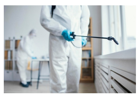 Say Goodbye to Pests with Arizona's #1 Pest Control Team