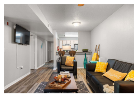 Premium Apartments Near East Carolina University