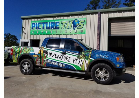 Durable Vehicle Vinyl Wraps for Stylish Customization