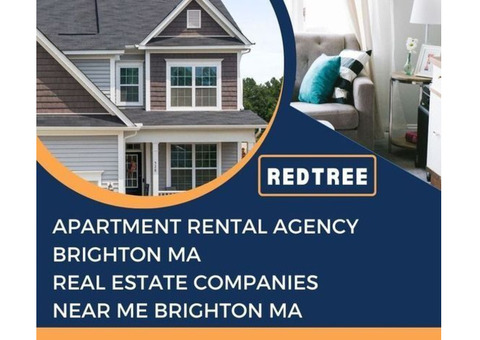 Best Apartment Rental Agency Brighton MA  at Your Service