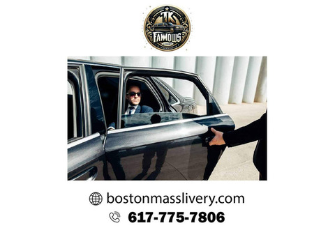 TK Famous Luxurious Door to Door Limousine Service