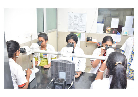 Leading MSc Microbiology Colleges in India for Research & Growth