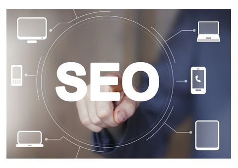 Can’t Rank on Google? Expert SEO Services in India Can Help!