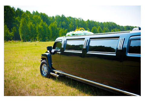 Top-Rated Executive Transportation Services in Miami