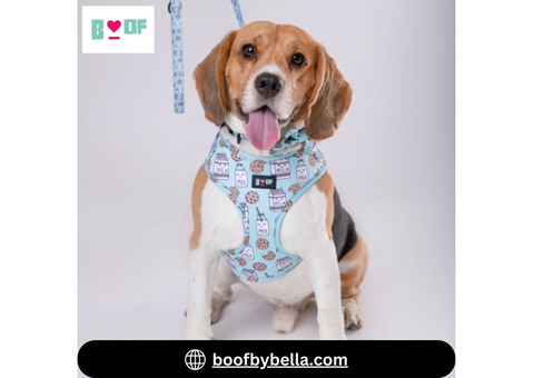 Shop Durable and Stylish Dog Harnesses Online