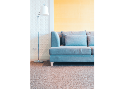 Refresh Your Living Room Floor with a Carpet That Lasts