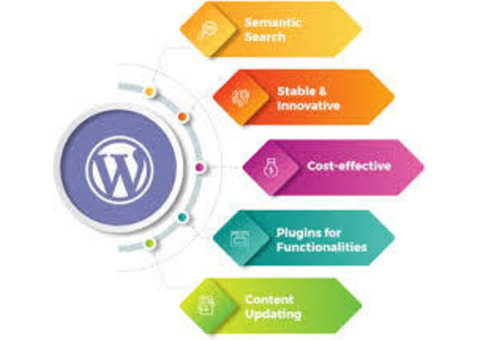 Hire WordPress Development Company in India for Custom Websites