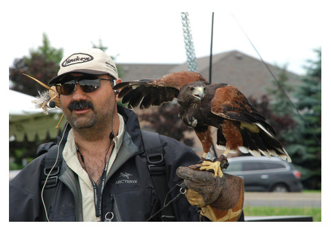 Hawkeye Bird and Animal Control