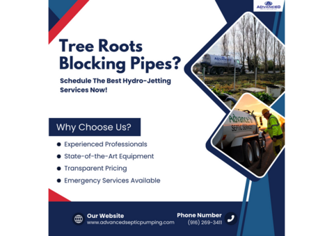 Tree Roots Blocking Pipes? Schedule Hydro-Jetting