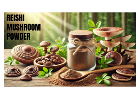 Natural Reishi Mushroom Powder to Boost Immunity