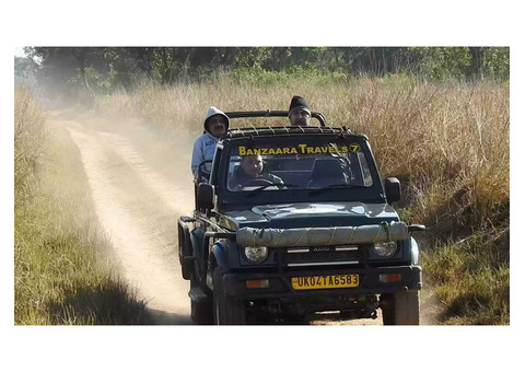 Explore the Wild: Gir Safari Booking & Sariska Safari Adventures!