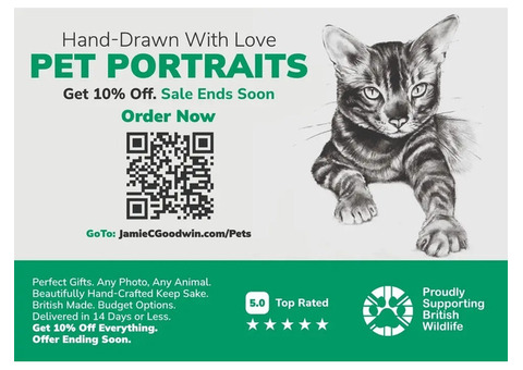 Pet Portraits