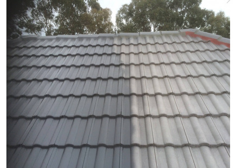 Professional Camden Roof Cleaning