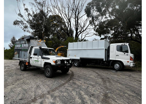 Expert Tree Removal Services in Bega - Tasker Lawns