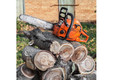 RG Tree Service LLC | Tree service