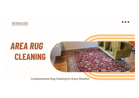 Expert Area Rug Cleaning – Pet & Mold Issues Solved