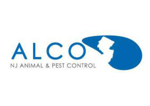 Expert Mice Removal Services in NJ - ALCO Animal & Pest Control