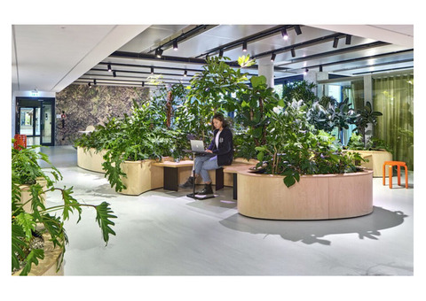 Biophilic Design Service UK | Harleen Mclean