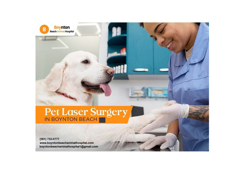 Pet Laser Therapy in Boynton Beach