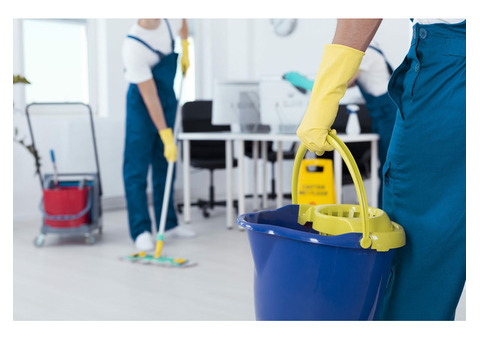 Clean Aggie Crew | House Cleaning Service