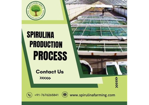 Spirulina Production Process | Step-by-Step Spirulina Cultivation