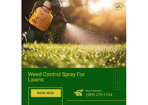 Effective Weed Control Spray for Lush, Healthy Lawns