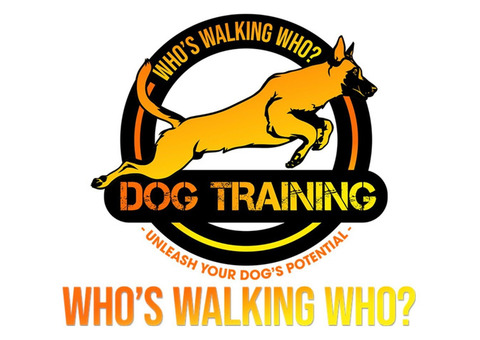 Who's Walking Who? Dog Training Utah