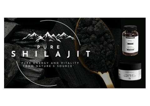 Shilajit - Nature’s Energy and Vitality Booster