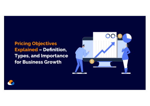 Comprehensive Guide to Pricing Objectives for Business Growth