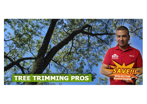 Commercial Tree Service in NJ