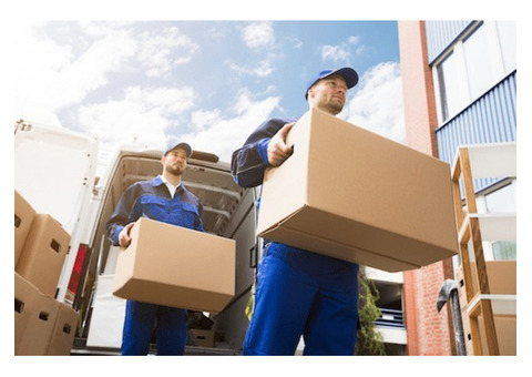 Want Same-Day Courier in Hallandale, Florida? Contact Us Now!