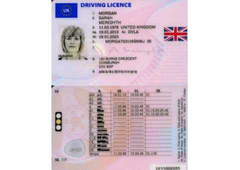 Buy Fake & Real Driver’s License Online