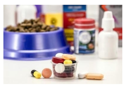 Veterinary Medicine Manufacturers In India