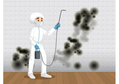 Mold Testing and Inspections with Funguy Inspections