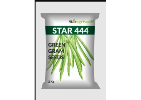 Best Moong Dal Seeds Star 444 for Farming in India — Staragriseeds