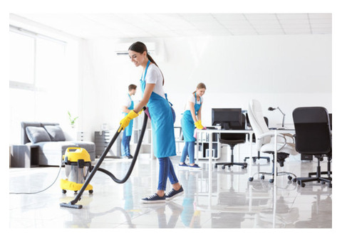 Expert Commercial Pest Control and Cleaning for Brisbane &amp