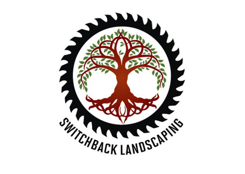 Efficient Brush Clearing Services by Switchback Landscaping