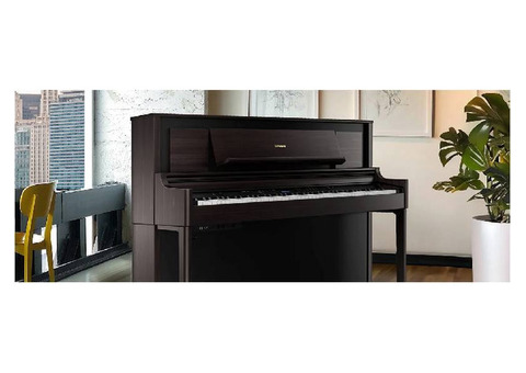 Explore Roland Electric Pianos in Hawaii