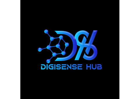 Digisensehub - India's Leading Digital Marketing Company