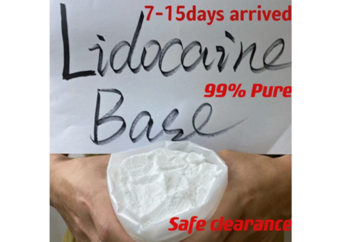 Premium Lidocaine Powder – Bulk Supply from Nanjing Chemicals