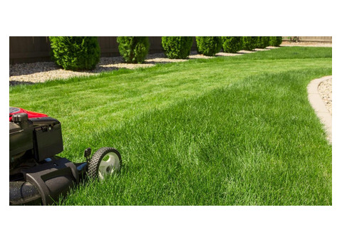 B&B Lawn Care | Lawn Care Service | Landscaper in Dunn