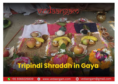 Tripindi Shradha Puja in Gaya - Vedaangam