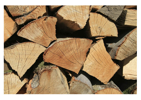 Townline Farms | Firewood Supplier